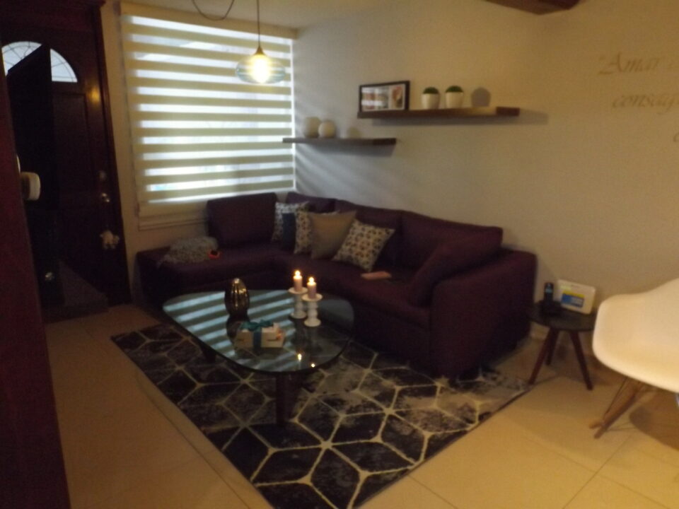 Sala con mobiliario fabricado a medida y mesa réplica Noguchi en Villas de Santiago, Querétaro